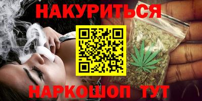 a pvp Новозыбков