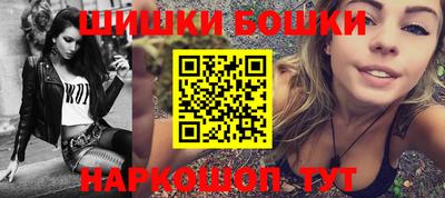 a pvp Новозыбков