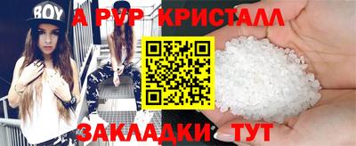 a pvp Новозыбков