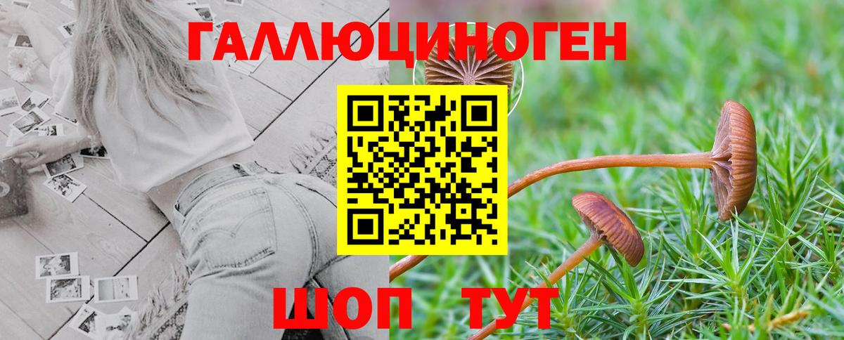 Псилоцибиновые грибы Cubensis  Псилоцибиновые грибы Psilocybine cubensis  где найти наркотики  Вход с VPN  Советск 