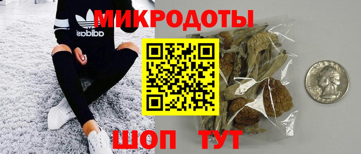 Галлюциногенные грибы прущие грибы Советск